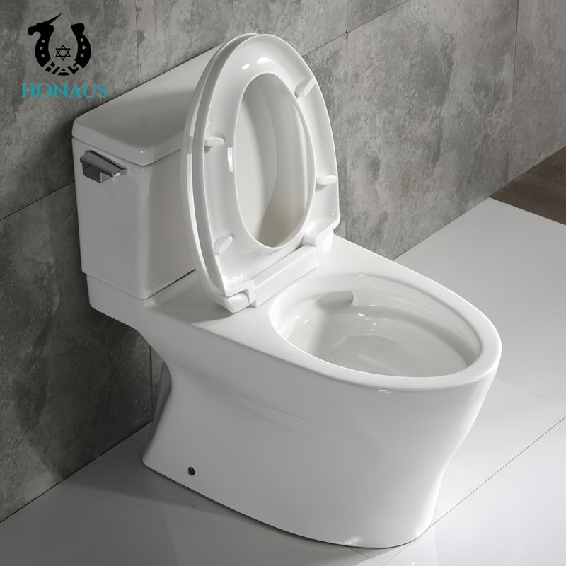 Floor Mounted Two Piece Toilet Bowl Practical Design Style Elongated Shape